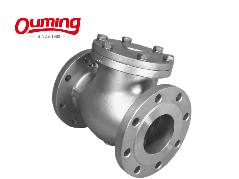 High Pressure NPT Male Thread Spring Loaded Check Valve