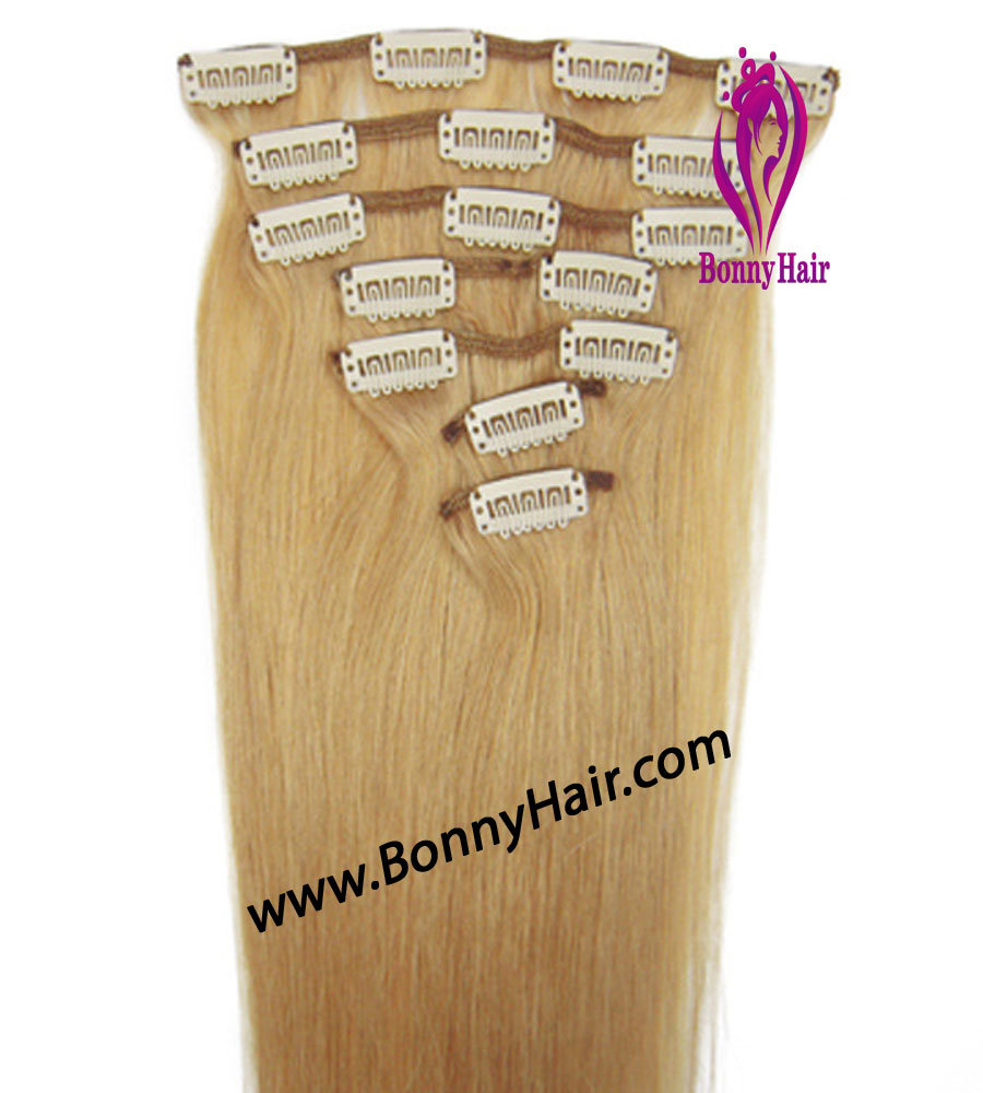 Discount Price Indian Human Remy Hair Clip on Hair Extension Human Remy Hair