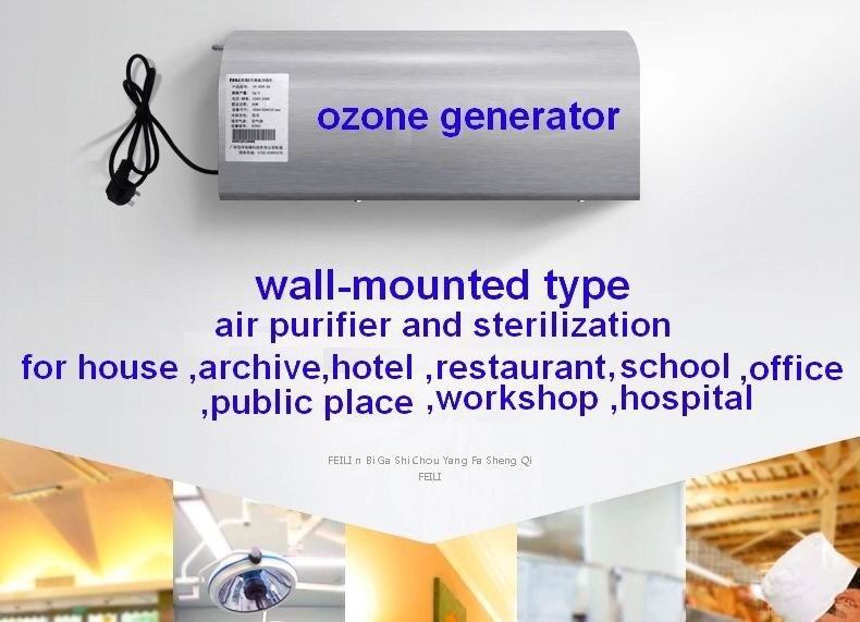 3G Wall Mounted Ozone Generator Air Sterilizer Machine