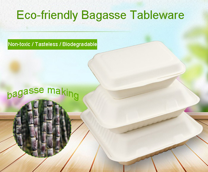 High Quality Disposable Biodegrable Sugarcane Lunch Take Away Box