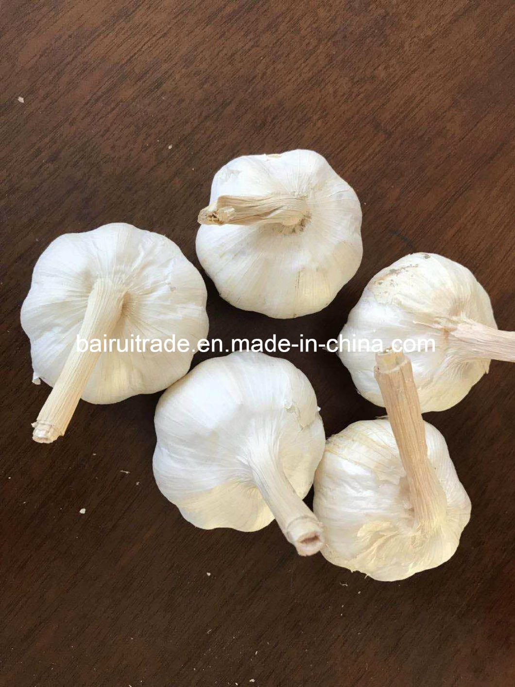 New Crop Fresh Garlic Pure White Garlic From China