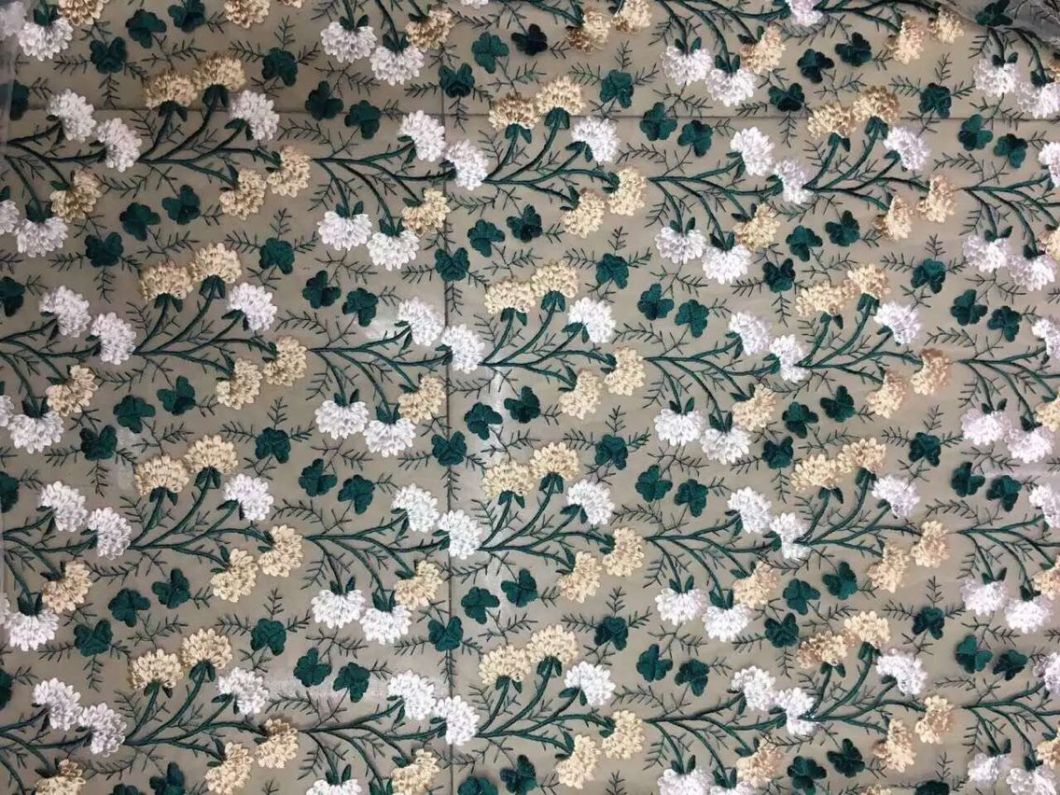 New Embroidery Lace Fabric for Girl's Garment