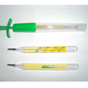 Non-Mercury Glass Thermometer with CE (WPGT)