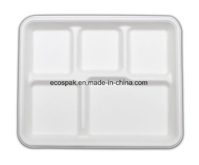 Environment Friendly Sugarcane Biodegradable Disposable Paper Tableware 10