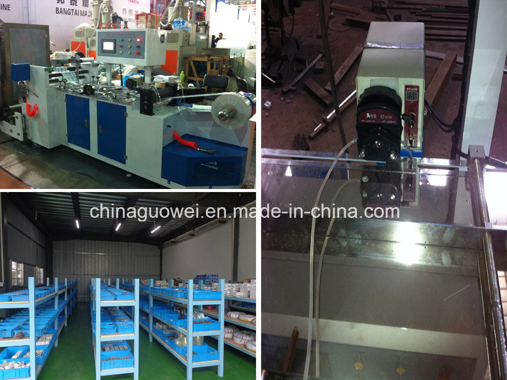 Center Sealing Bag Making Machine for Plastic Film (GWS-300)