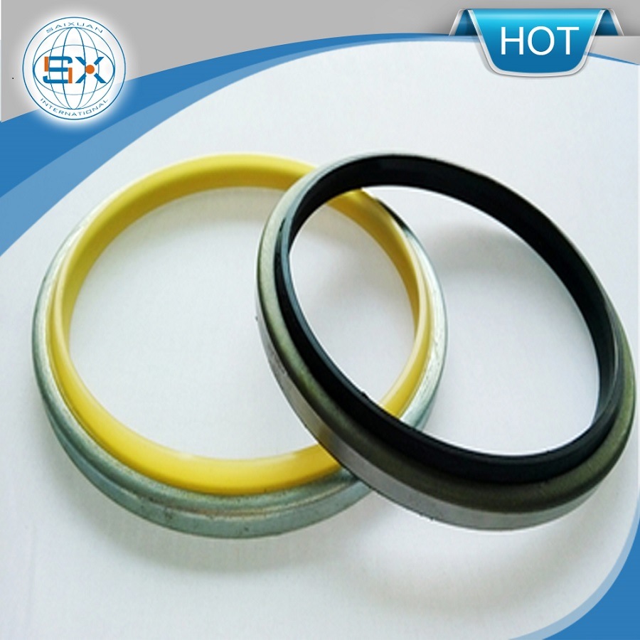 Standard and Non-Standard Dkb/Dkbi Dust Hydraulic Cylinder Seal