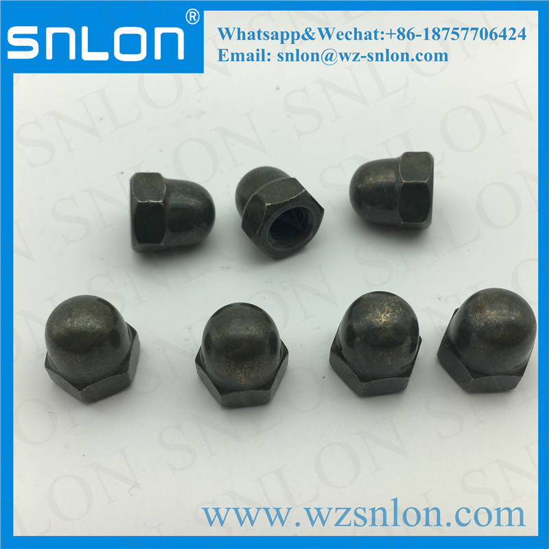 Stainless Steel Cap Nut for Auto Parts