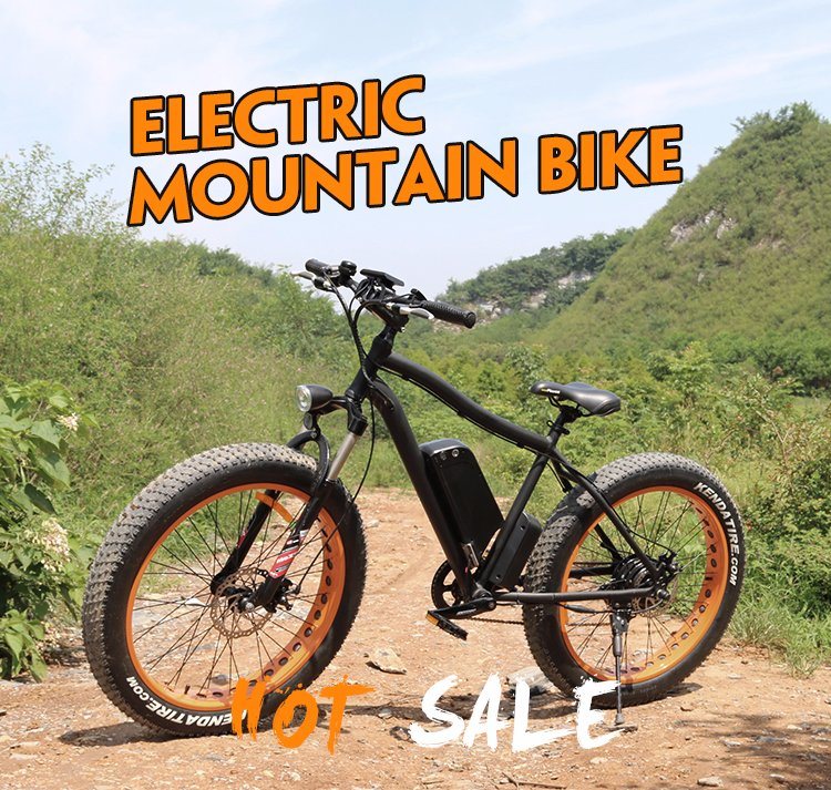 Hot Sale Li-ion Battery E-Bike Mountain Electric Bike with En15194