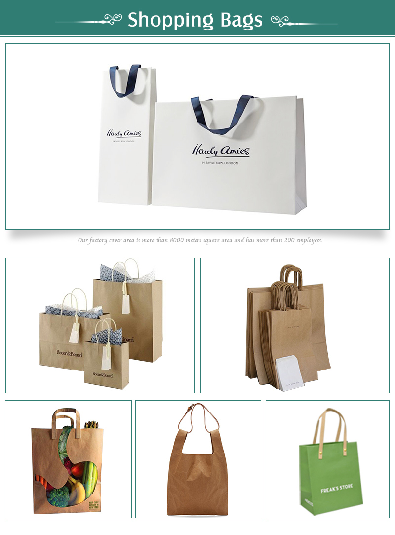 Recycled Ladies Carrier Paper Bag Shopping Bag for Clothes