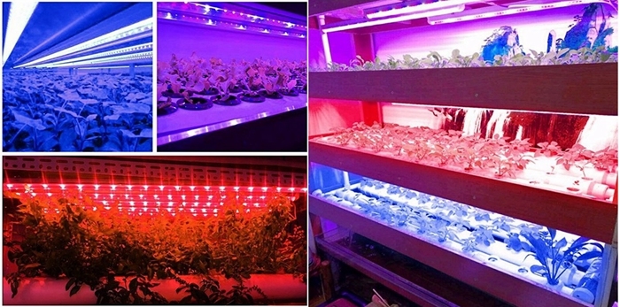 12W Plant Lamp Color Adjustable 3 Modes Red & Blue & Violet LED Grow Light Tube