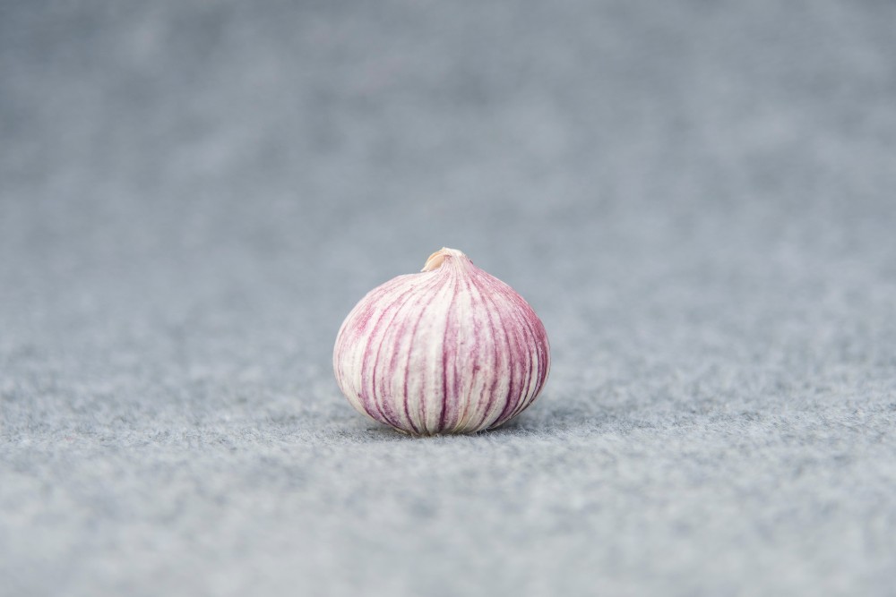 High quality fresh single clove garlic High quality fresh single clove garlic