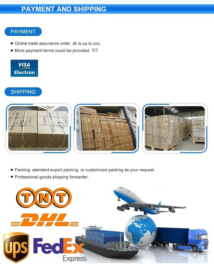 2.5kw with 18 / 20 Inch Guide Bar Gasoline Chain Saw