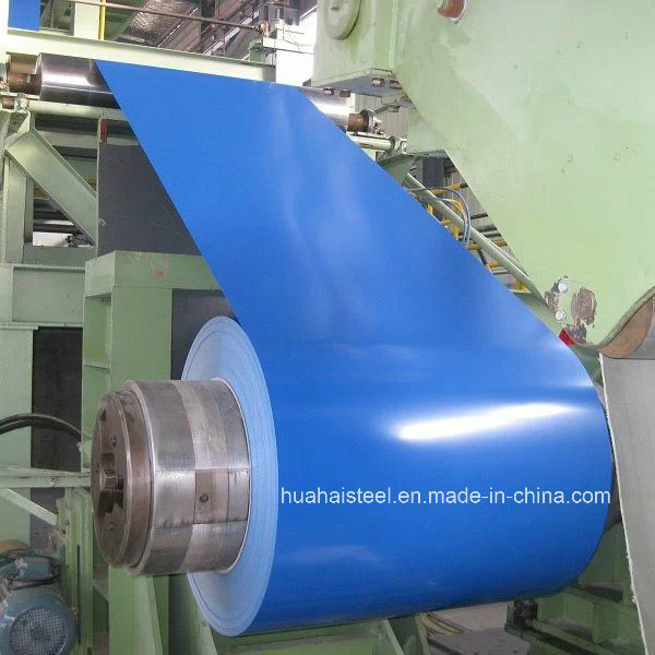 Color Coated Galvanized/Galvalume Steel in Coil/Sheet (RAL Standard)