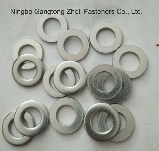 Stainless Steel Flat Washer for Industry (DIN125)