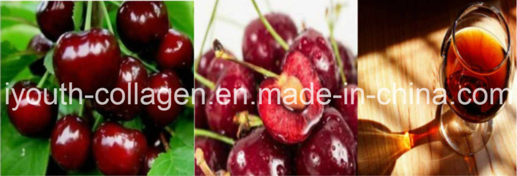 Top Wine, EU Organice Cherry Wine Brut /Sweet Rich SOD Anthocyanin, Amino Acids, Aphrodisiac Anticancer, Antiaging, Blood Tonic, Prevention Ischemic Strok