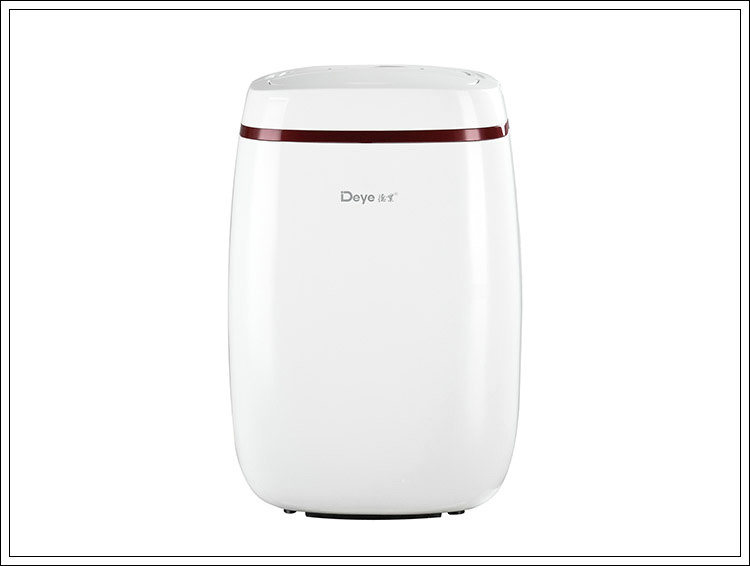 Dyd-E12A Portable Plastic Water Tank with R134A Air Dehumidifier