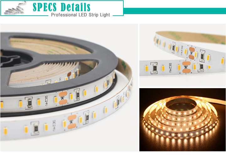 Professional LED Rope Light in (3528 2835 3014 5050 2216 5630 5730)