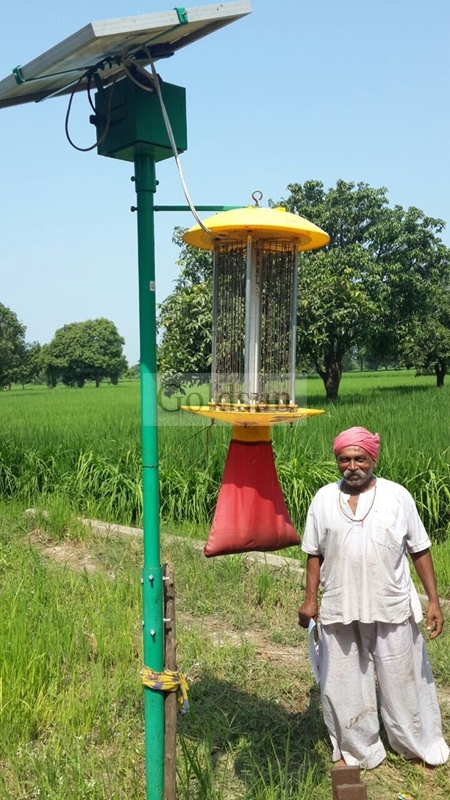 Electric Shock Solar Power Insect Killer Lamp