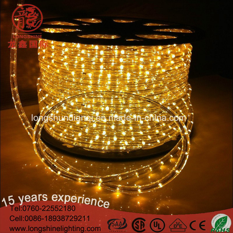 Indoor and Outdoor High Quality LED Round Two Wire Rope Light for Decoration Lighting