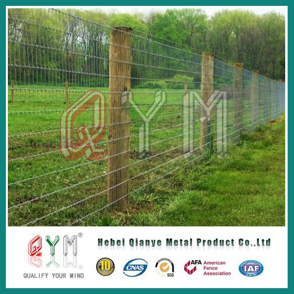 Grassland Mesh/Animal Fence/Farm Fence in Australia Newzealand