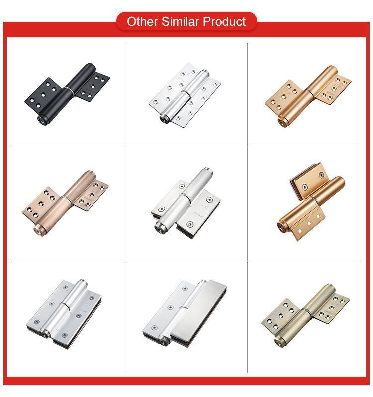 Taky Brand Steel or Iron Door Shower Flush Hardware Hinge