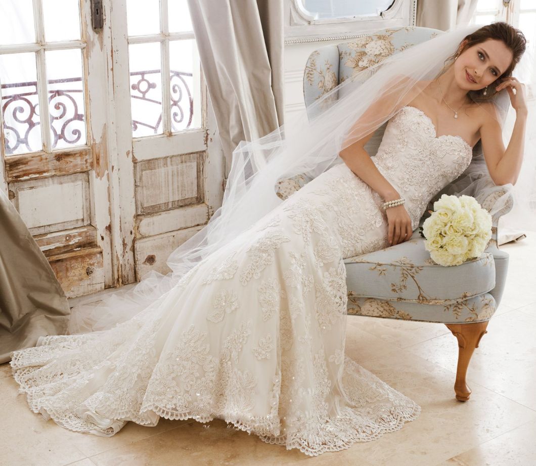 Amelie Rocky Strapless Lace Tulle Plus Size Mermaid Wedding Gowns