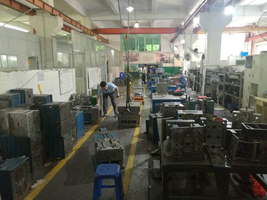 Shaping Mode and Plastic PP/ABS/PC/PE/PS/TPE/TPR Plastic Injection Mould
