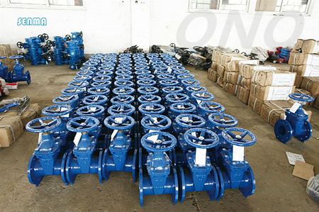 Flexible Seal Manual Gate Valve with Flanged