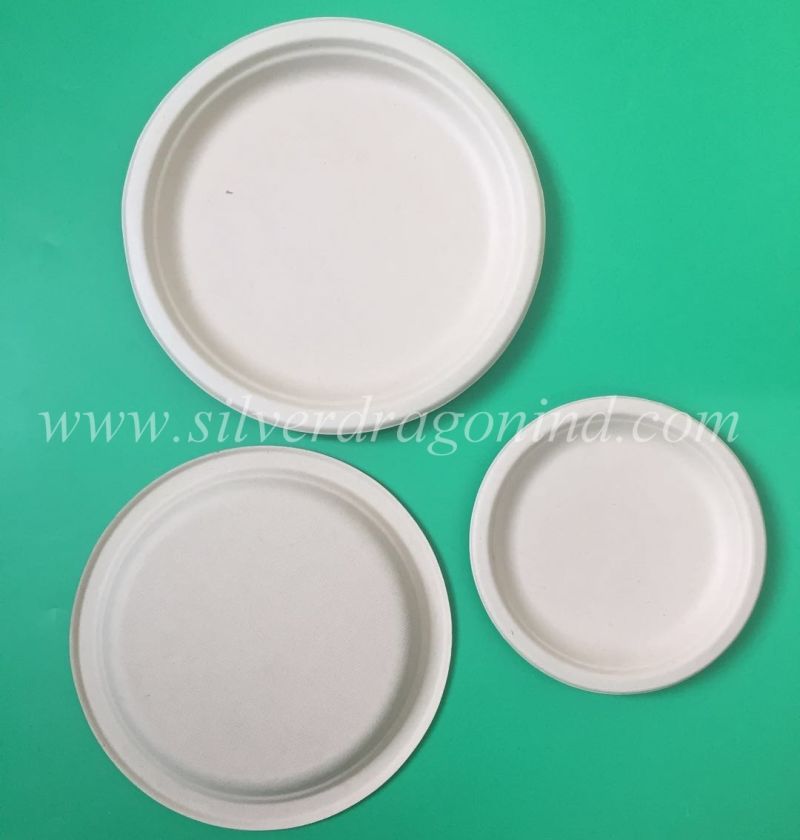 China Made Eco-Friendly Disposable Sugarcane Pulp Paper Plate