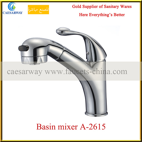 Pull-out Brass Kitchen Mixer for Bathroom