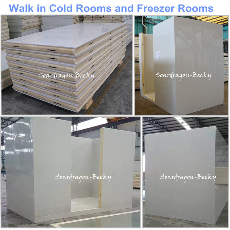 Walk in Cold Room and Freezer Room with Standard Sizes