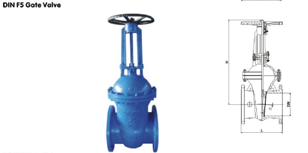 Stainless Steel F5 DIN Rising Stem Flanged Wedge Gate Valve