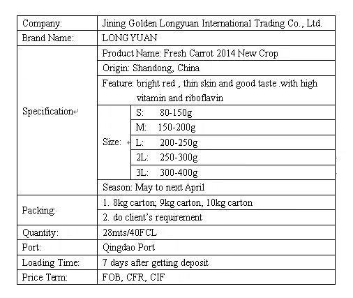 Chinese Fresh New Crop Carrot