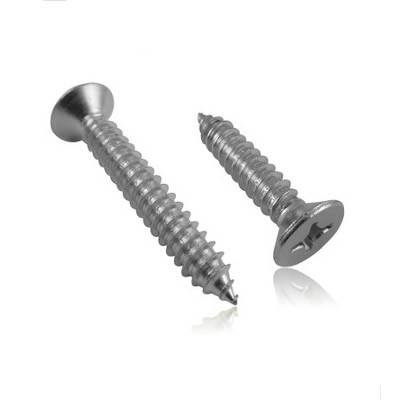 Stainless Steel Slotted Countersunk Head Self Tapping Screw with Good Quality