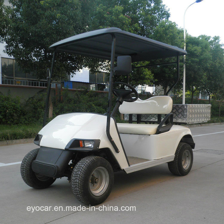 2 Seater Electric Golf Cart with Rear Bucket