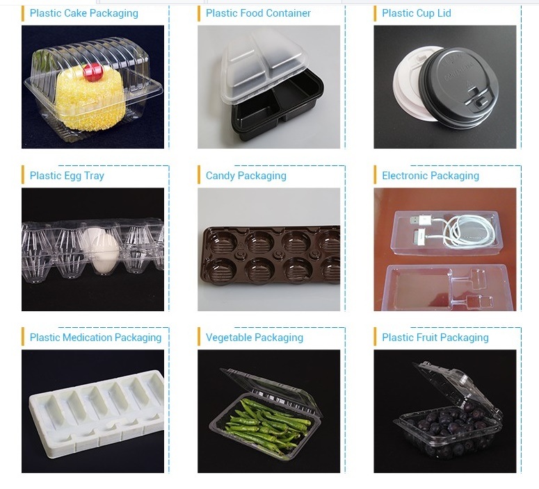 Vacuum Thermoforming Disposable Plastic Packaging Containers