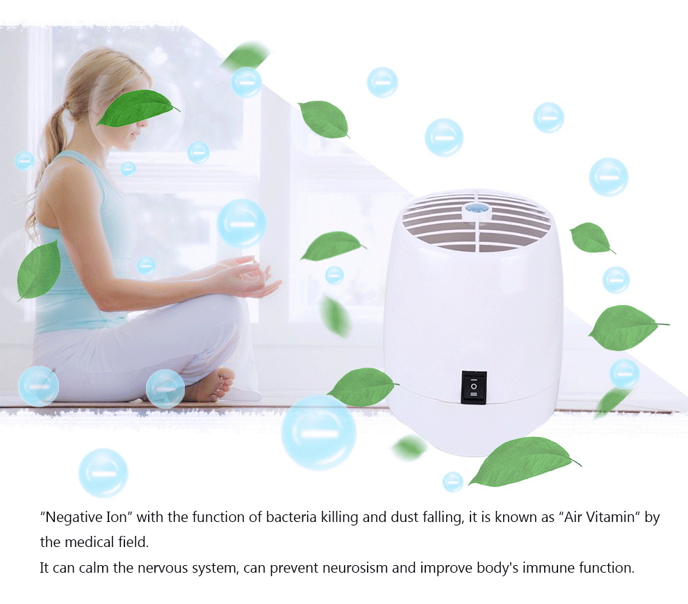 Mini Air Purifier Humidifier Aroma Diffuser Ion Ozone HEPA Filter