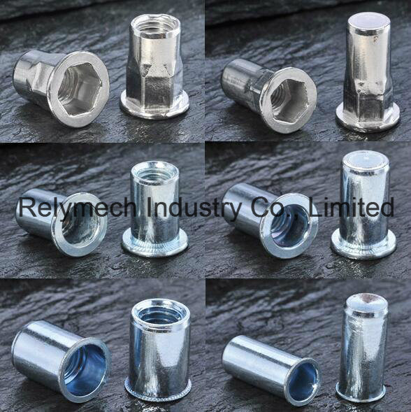 Stainless Steel/Carbon Steel Rivet Nut for Auto/Aviation/Railway