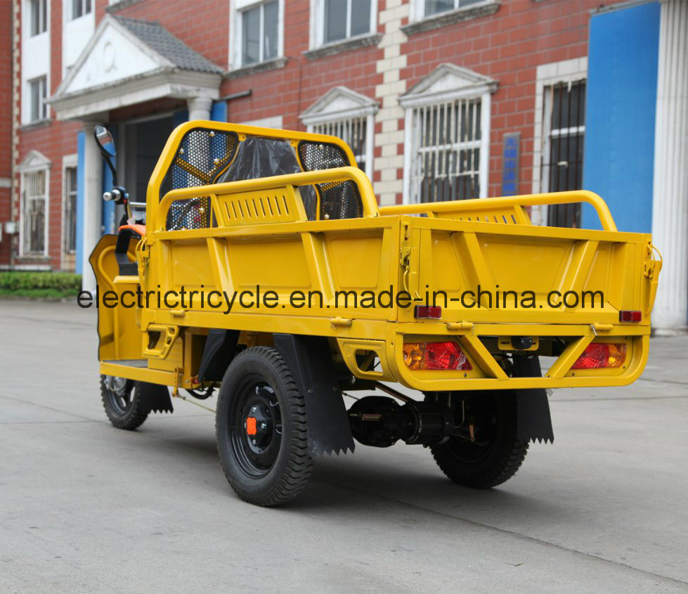 China Three Wheel 48V800W Pedal Electric Farm Cargo Bike Tricycle