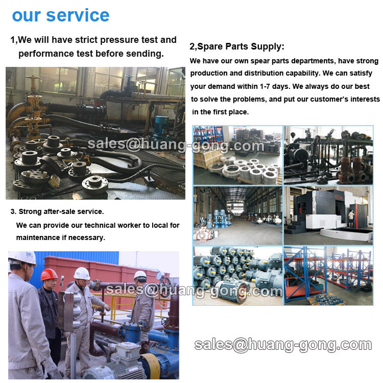 Marine Electric Submerged Lube Oil Pump for Oil Tanker
