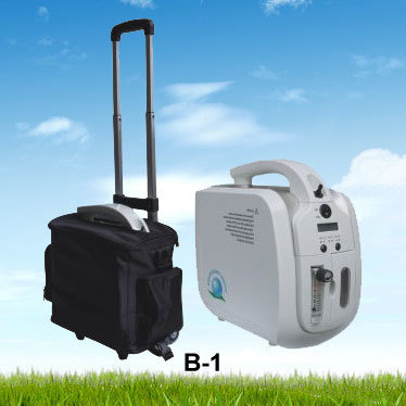 Mini Oxygen Concentrator with Vehicle Adapter