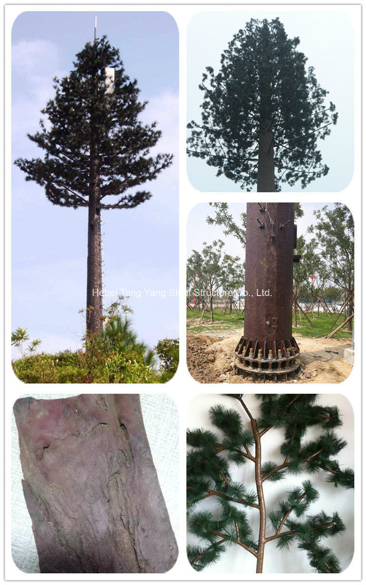 Detailed Video Description of Camouflaged Telecommunication Pine Tree Monopole