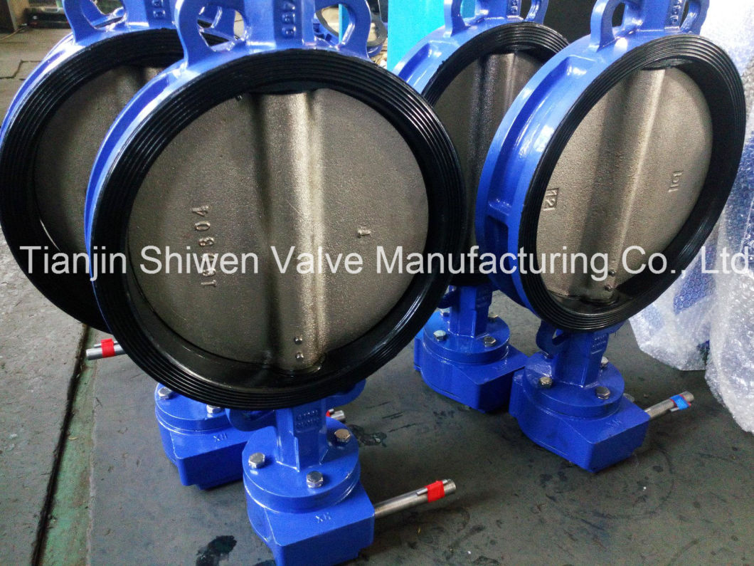 Cast Iron Wafer Butterfly Valve with Gear Actuator