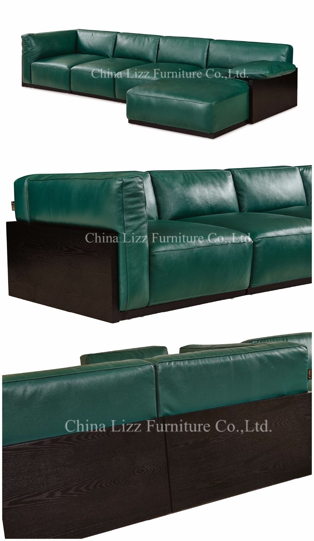 All Feather Inside New Collection Home Leather Sofa