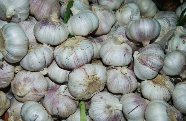 Farm Garlic Supplier, Peeled Frozen Garlic