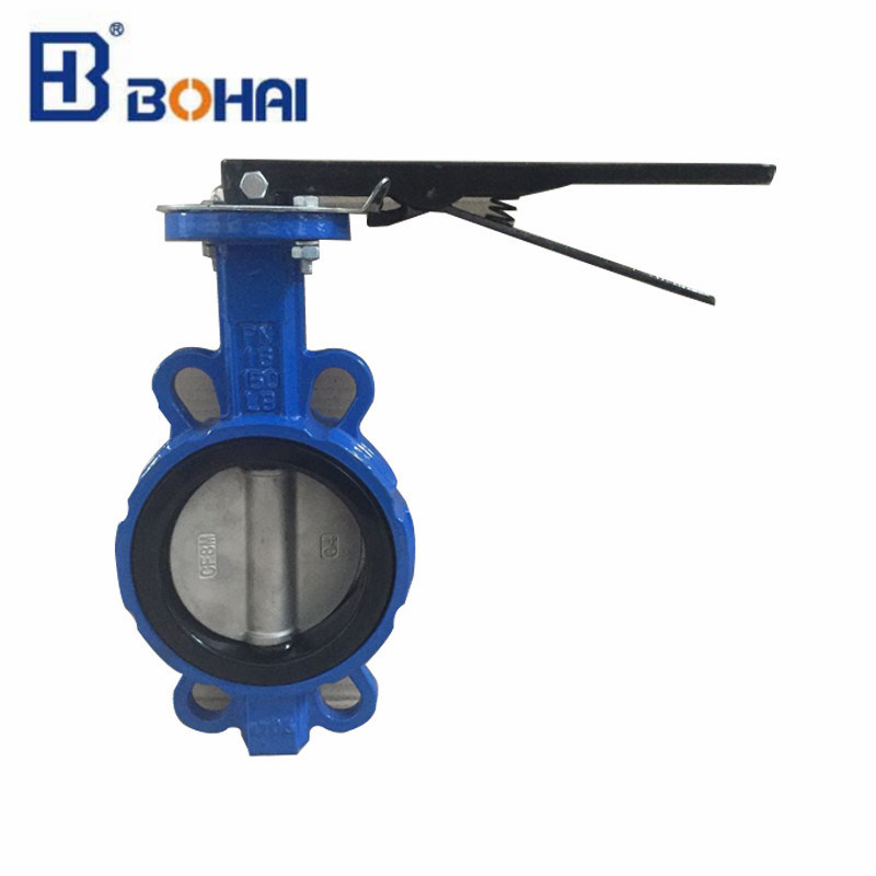 High Performance Ductile/Cast Iron Lugged Type Large Diameter Wafer Control Industrial Butterfly Valve