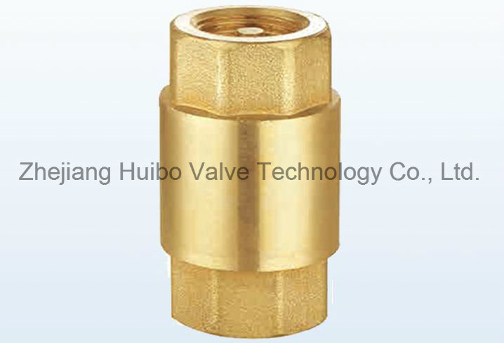 Brass Universal Check Valve (Plastic Core)