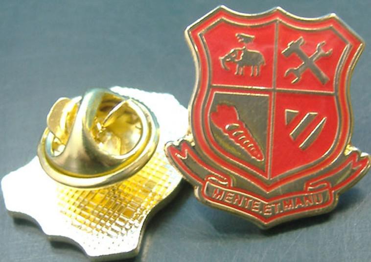 Promotional Gift Metal Lapel Pins