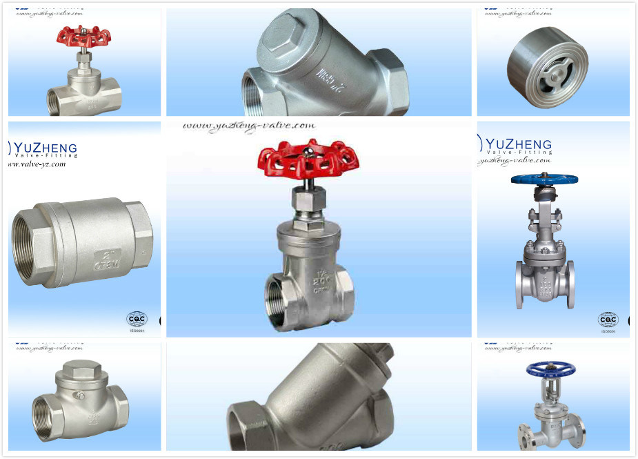 Industrial Ss Wafer Type Check Valve