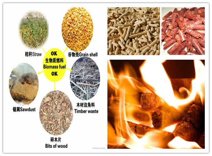 Best Small Biomass Fireplace Pellet Stove (CR-10)